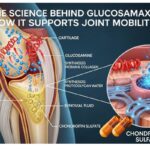 Glucosamax