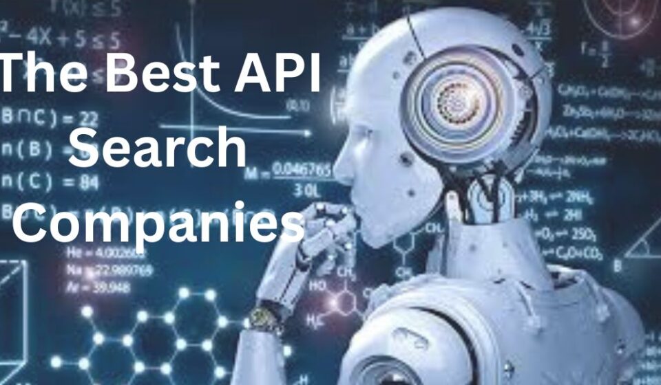 The Best API Search Companies