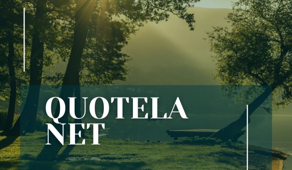 Quotela Net