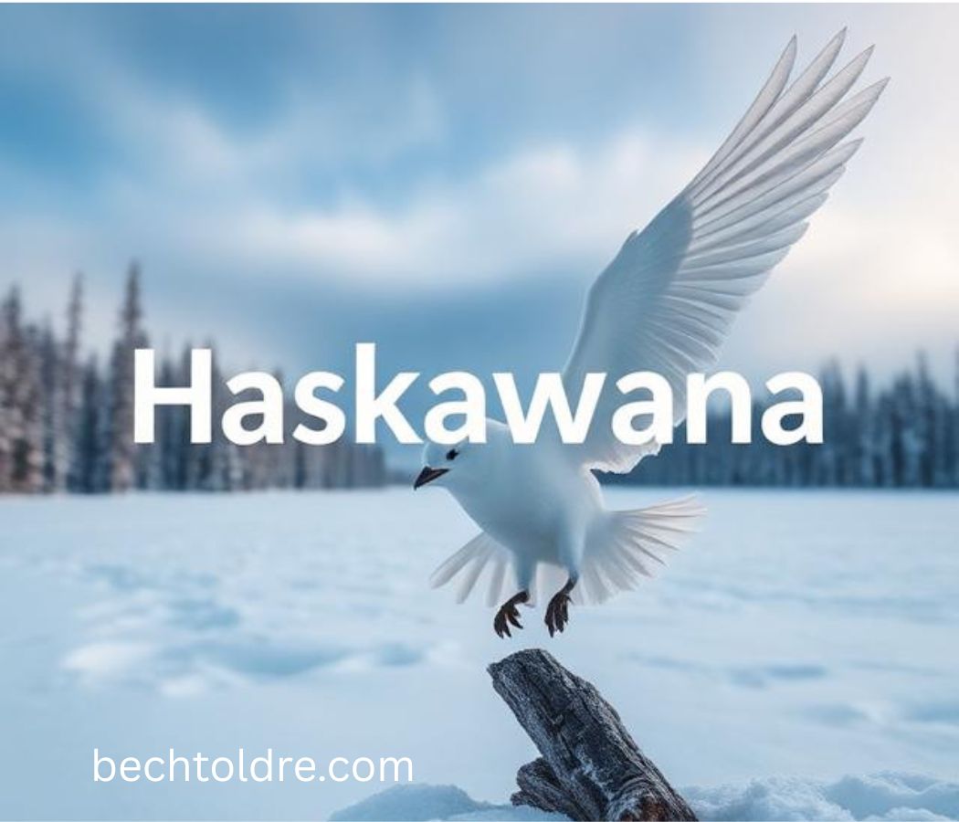 Haskawana: Uncovering the Meaning of a Unique Name