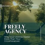 Freely Agency