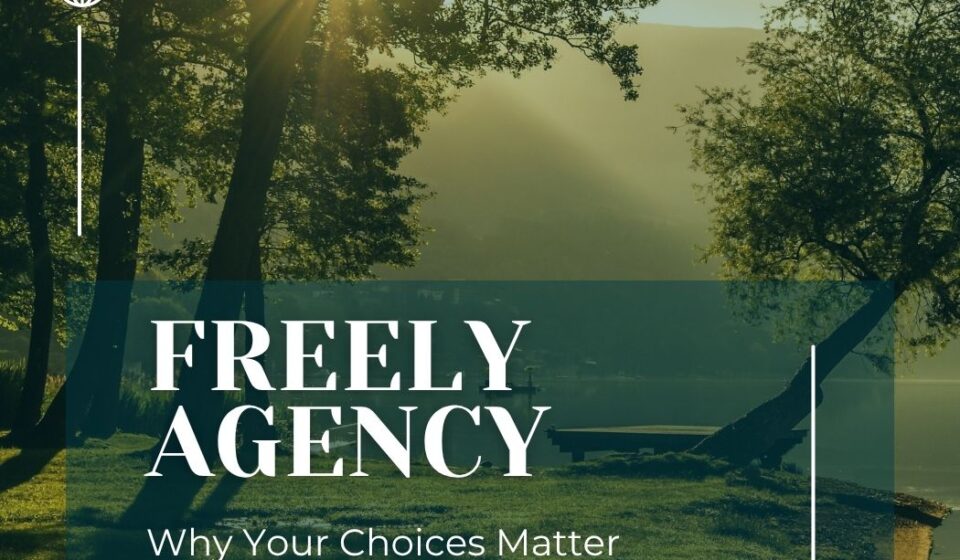 Freely Agency