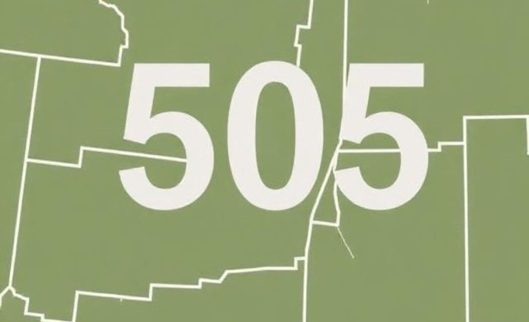 new mexico 505 area code